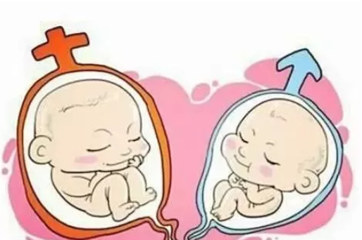 2019年4月1日孕生男生女 农历二月二十六怀孕是男孩还是女孩