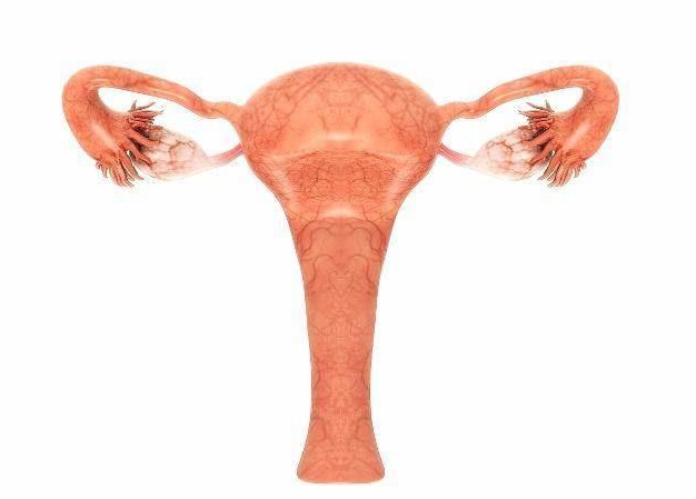 子宫内膜薄还是厚好 排卵期子宫内膜厚度多少正常