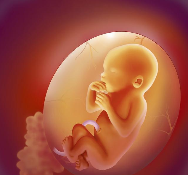胎动频繁是生男孩吗 一般什么时候胎动比较频繁
