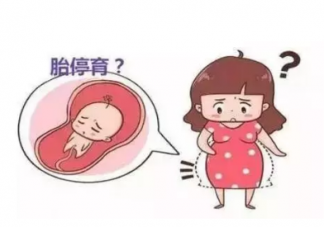 什么是胎心胎芽 怀孕多长时间能看到胎心胎芽