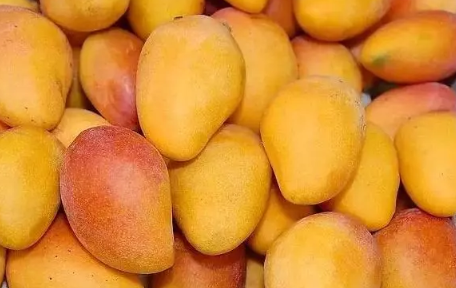 哺乳期可以吃芒果吗 哺乳期吃芒果影响下奶吗