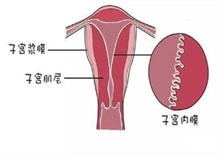 子宫内膜和生育之间的关系 子宫内膜厚度多少受精卵容易着床