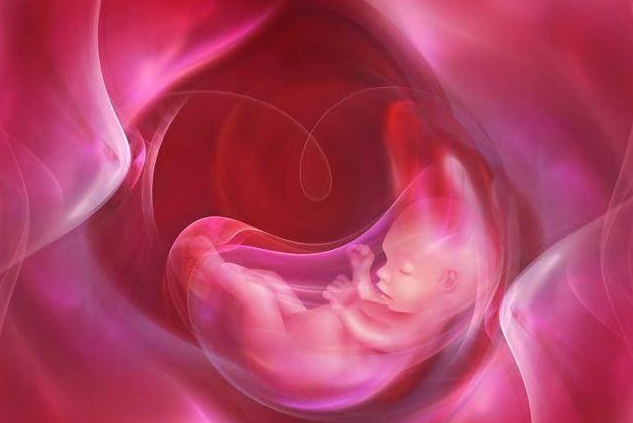 试管婴儿移植后几天可以验孕 试管婴儿移植验孕成功怎么保胎