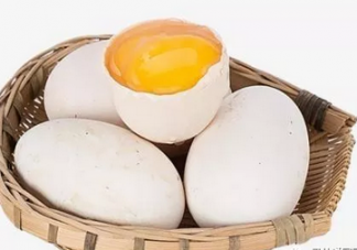 怀孕后吃鹅蛋有什么好处 孕妇能吃鹅蛋吗