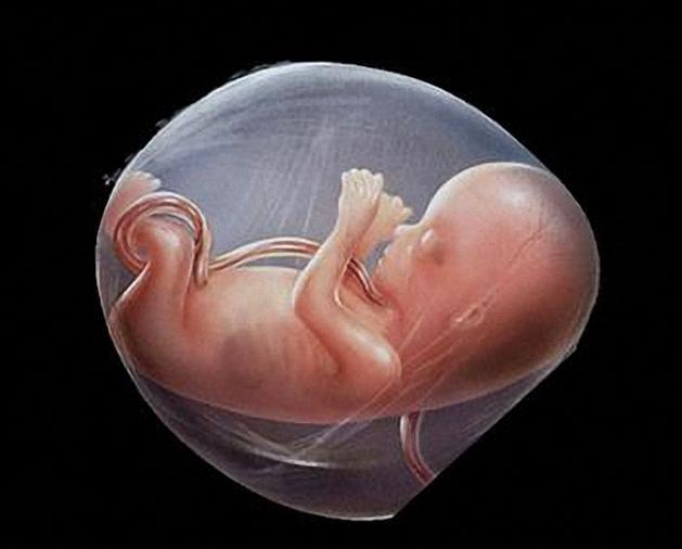 胎盘老化对胎儿有什么影响 胎盘老化对胎儿发育的危害
