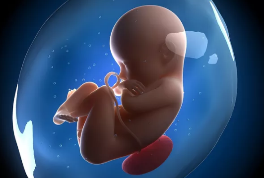 孕期哪些行为会导致胎儿畸形 导致胎儿畸形的六大行为