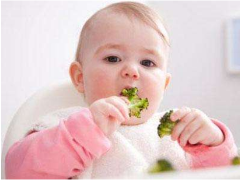 1岁宝宝一日三餐怎么吃最营养 1岁宝宝一日三餐怎么吃好