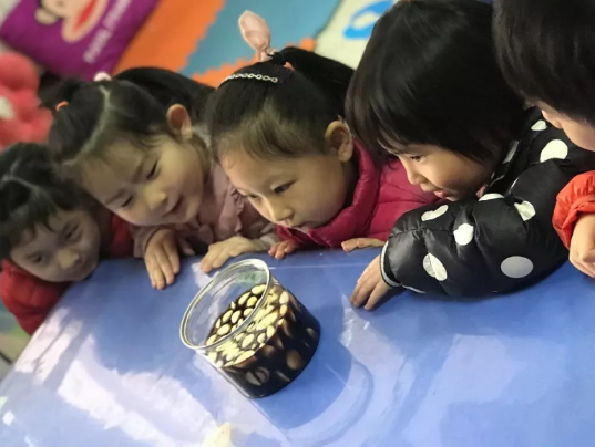 2019腊八节幼儿园活动稿 幼儿园腊八节活动吃腊八粥活动过程