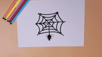 蜘蛛简笔画视频  简单蜘蛛的画法步骤